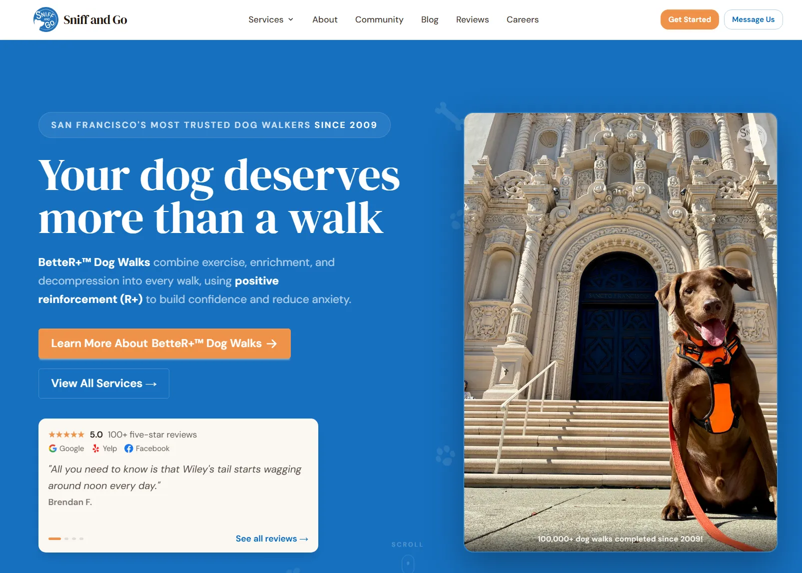 Sniff and Go custom website by Savo Group